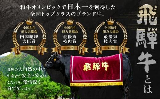 【12月配送】厳選飛騨牛 赤身 ヒレ 300g ステーキ 年内発送 発送時期が選べる 黒毛和牛 ブランド牛 ハッピープラス 飛騨高山 JQ024VC12