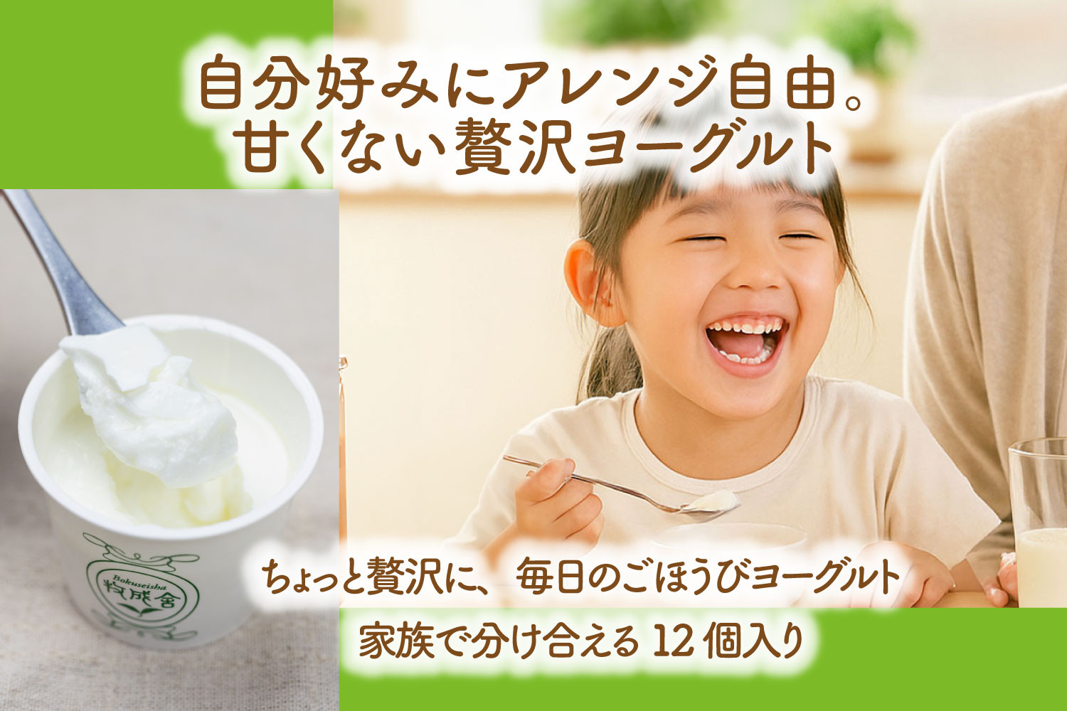 【6か月定期便】牧成舎のプレーンヨーグルト（砂糖不使用）12個入り 牧成舎 DF225