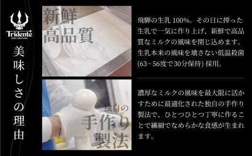 飛騨生乳100％ リコッタ1個 &  モッツァレラチーズ生ブロック1個セット | セット チーズ 冷蔵 濃厚 低温殺菌 乳製品 おいしい 人気 チーズ工房トリデンテ LF017