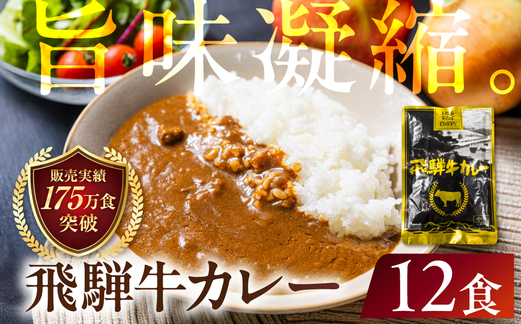 飛騨牛カレー (12袋) | 訳あり 飛騨牛 肉 牛 カレー ビーフカレー 簡易包装 レトルトカレー 人気 おすすめ おいしい 便利 飛騨高山 ふるさと清見 DC006VC13