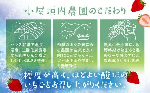 【2025年先行予約】大粒 雪見いちご 1箱（9-15粒／化粧箱入り）| 糖度が高くてほどよい酸味 数量限定 イチゴ フルーツ 果物 いちご 品種おまかせ（紅ほっぺ／紅かおり／山天王）飛騨高山 小屋垣内農園 JA001