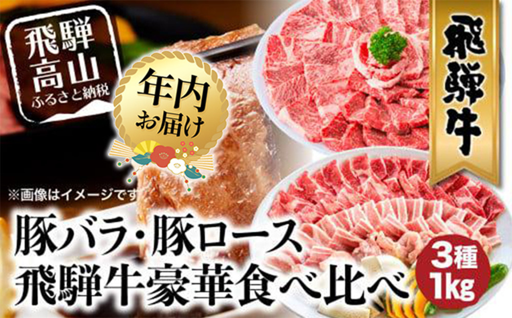 【12月配送】飛騨牛 ＆ 飛騨豚 焼肉 セット 合計 1kg | 年内発送 肉 国産 牛 豚 29-950 ファミリーストアさとう CY030VC12
