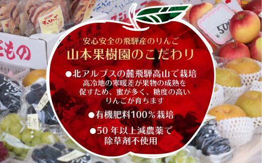 【先行予約】飛騨高山産 山本果樹園 旬の飛騨りんご 約3kｇ(9個〜12個）| 9月中旬〜 順次発送 りんご 果物 フルーツ おいしい 大容量 飛騨高山 山本果樹園 MA002