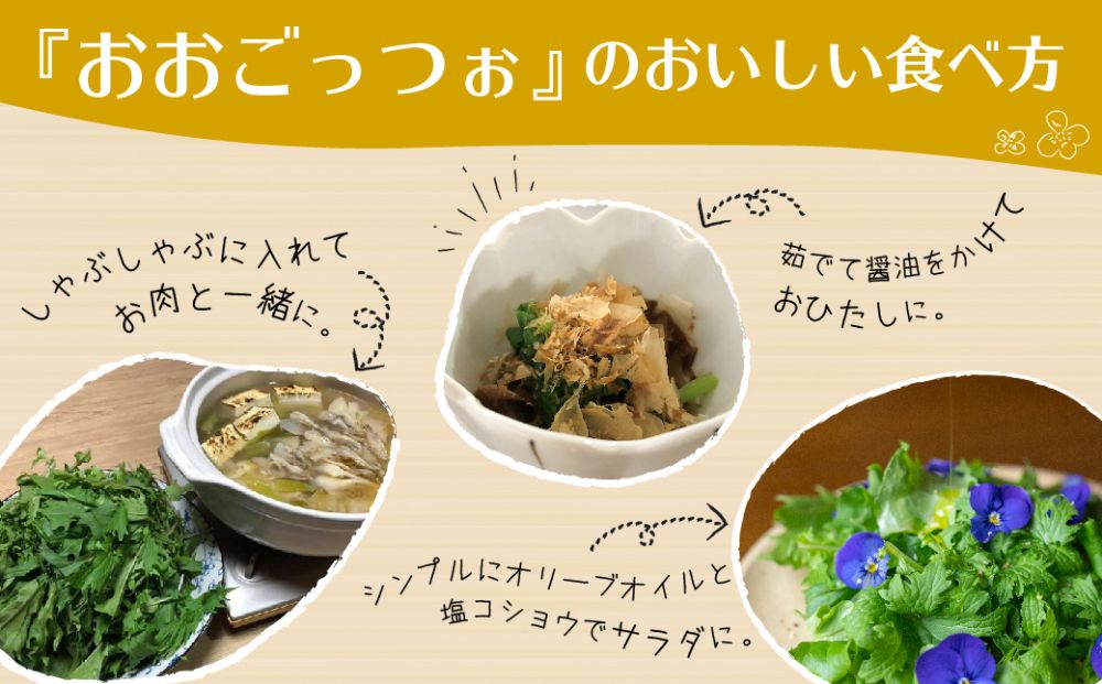 【定期便３回】飛騨高山野菜『おおごっつぉ』詰合せ 葉物野菜 葉物 ミックスリーフ わさびな フラワーサラダ 無農薬野菜 無農薬 HS101