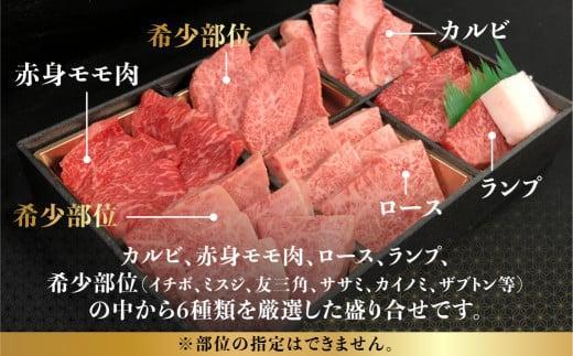 【5月発送】飛騨牛 焼肉 6種食べ比べ セット 600g(100g×6） 希少部位 A5 5等級 盛り合わせ 黒毛和牛 和牛 個包装 FH017VC05