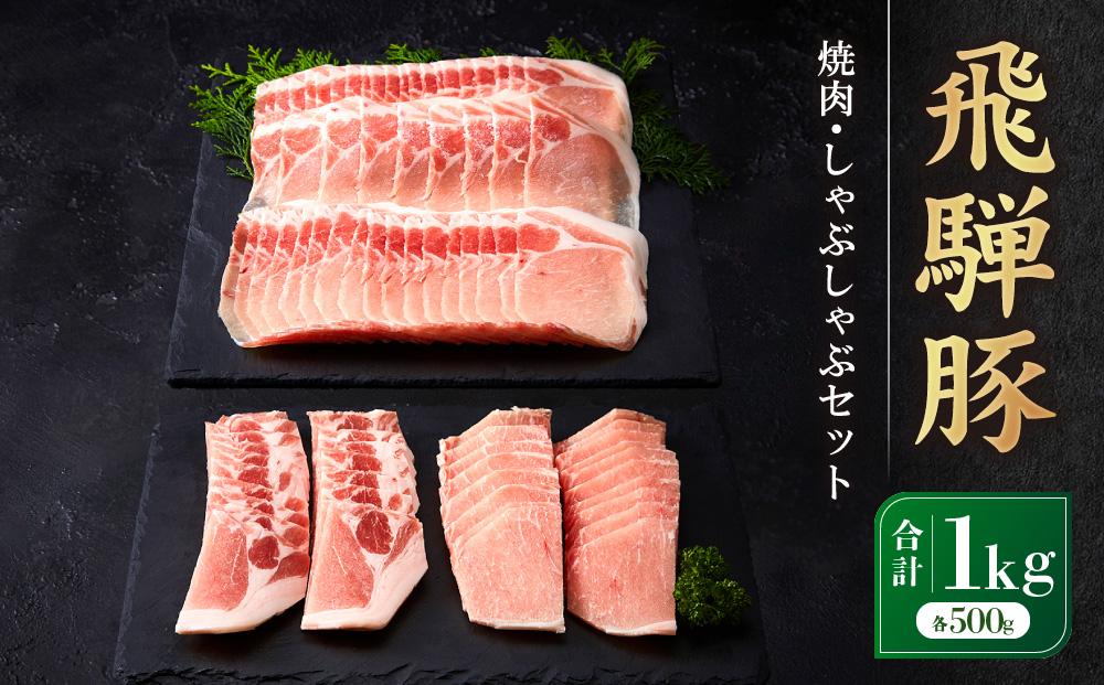 飛騨豚 焼肉・しゃぶしゃぶセット 合計1kg ｜ ロース BBQ 鍋 豚肉料理 高山米穀協業組合 FA010