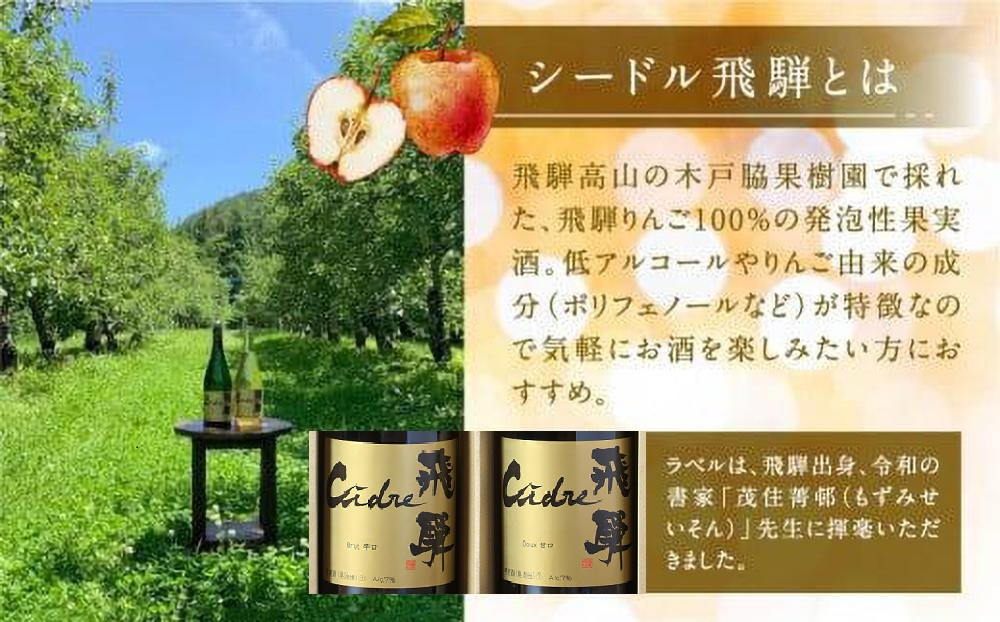 【寄附額見直しました】飛騨りんご シードル飛騨 辛口 750ml | スパークリング スパークリングワイン シードル お酒 果実酒 りんご リンゴ 林檎 ワイン 飛騨高山 木戸脇果樹園オーチャードハウス FP001