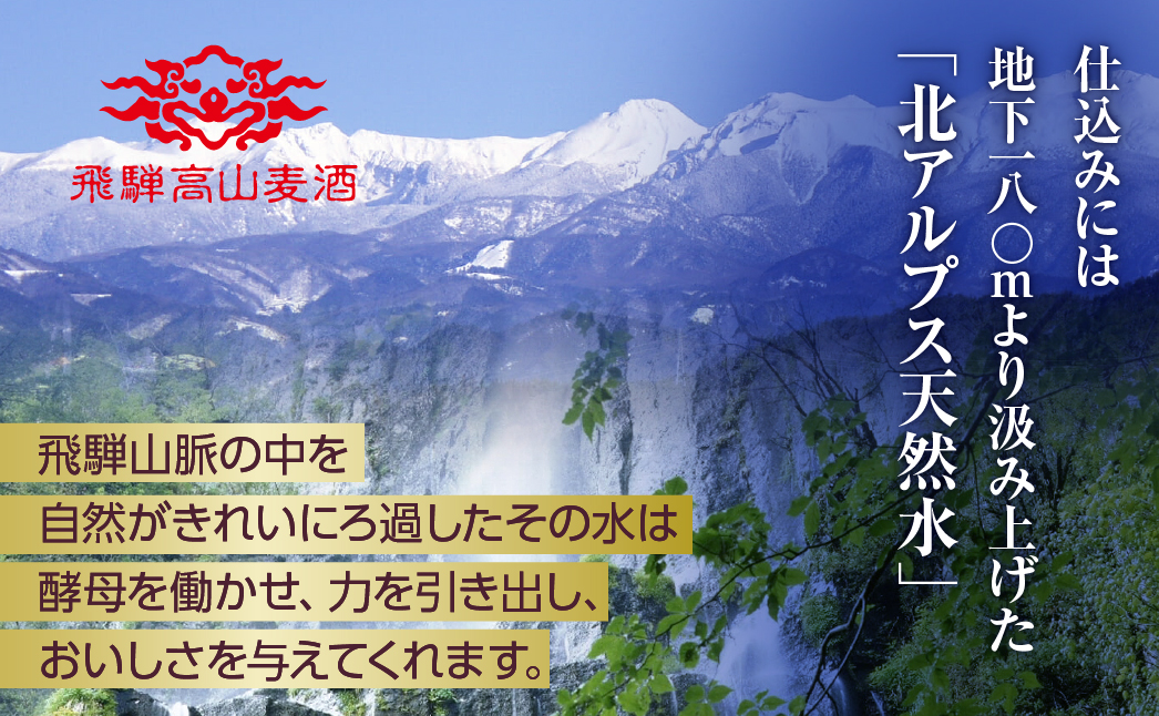  飛騨高山麦酒 濃熟6缶セット クラフトビール 地ビール 飛騨高山 プレミアム 家飲み おうち時間 ダークエール スタウト 父の日  セット 贈答用 詰め合わせ b666 