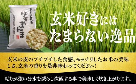 【令和6年度産 新米】ゆきまんま 玄米 10kg | 米 特別栽培米 地域限定 特別優秀賞 飛騨高山 まんま農場 LT009