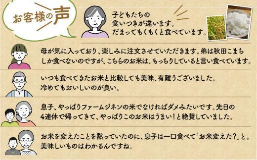 【令和6年産 新米】 天日干し コシヒカリ 白米 10kg | 飛騨産 こしひかり お米 特別栽培米 飛騨高山 ファームジネンいいむら GG002