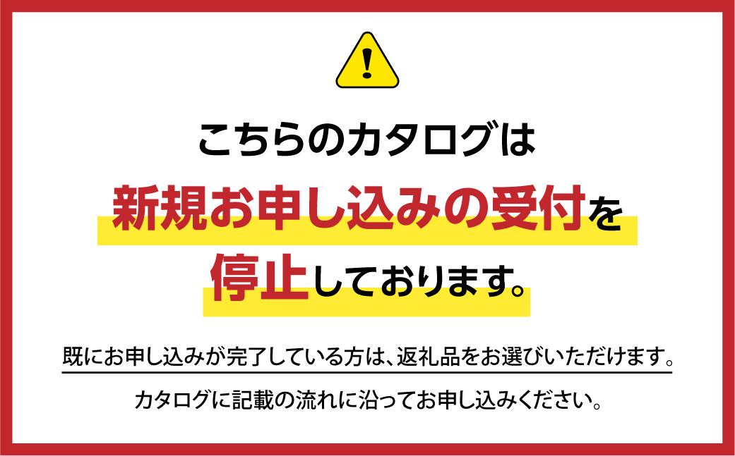 　返礼品 カタログ 30万円 あとから選べる 飛騨牛 お米 家具 木工  カレー ラーメン 色々選べる カタログ 選べる 定期便  フルーツ  果物 肉 野菜 焼肉  飛騨高山   300000 TR3649