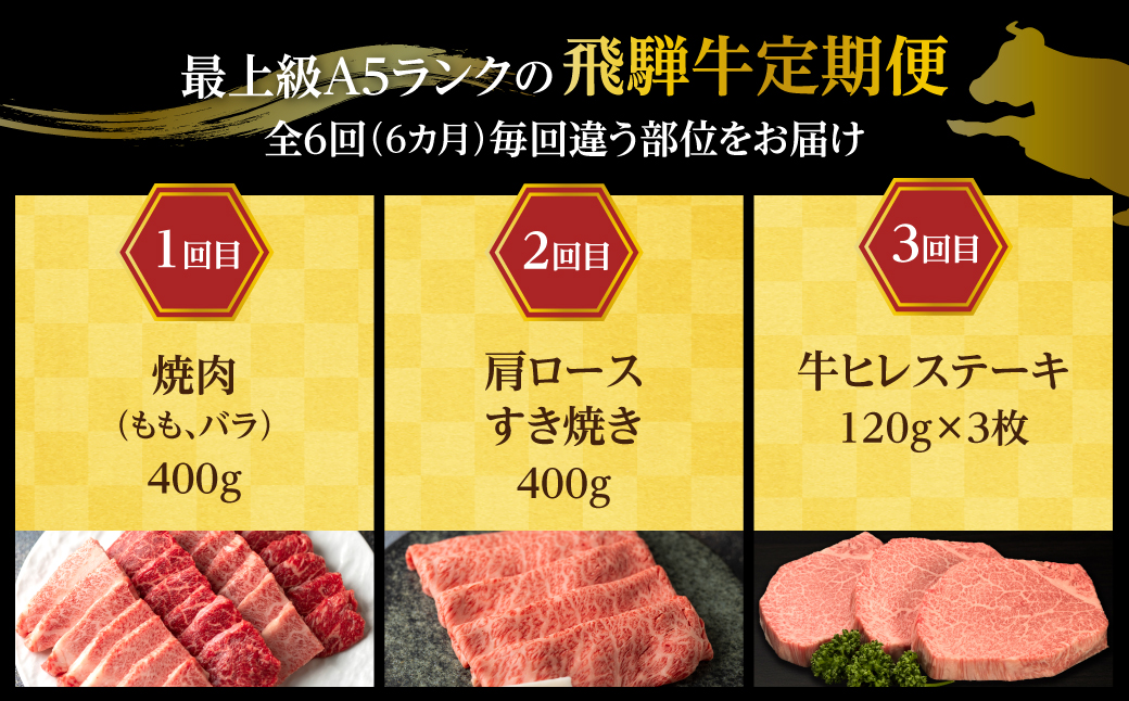 【定期便6ヶ月】 A5ランク肉 飛騨牛 定期便 約2.6kg(360g以上×6ヶ月) 牛肉 ( 焼肉 すき焼き しゃぶしゃぶ ステーキ 肩ロース ヒレ サーロイン もも バラ ) | 食べ比べ A5 人気 お楽しみ おすすめ 岐阜県 高山市 飛騨高山 ながせ食品 TR4505