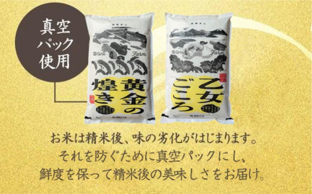 【令和6年度産 新米】もちもち食感の飛騨産ミルキークイーン「乙女ごころ」5kg | 米 お米 白米 ご飯 ごはん 飛騨高山 和仁農園 MF008