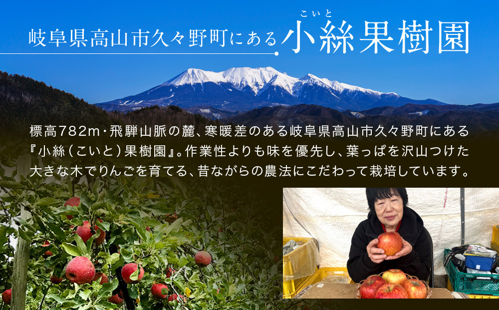 飛騨高山のりんごストレートジュース 1L瓶×3本 | 果汁 飛騨りんご リンゴ 林檎 果樹園 じゅーす 飛騨高山 小絲果樹園　SH001