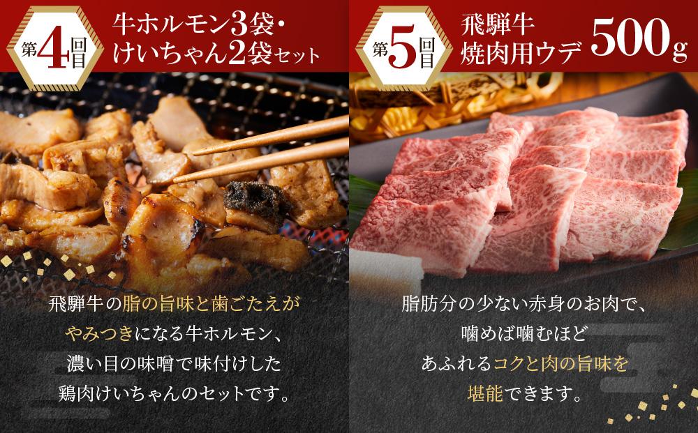 【定期便】飛騨高山の特産 飛騨高山の魅惑の食材をまるごとお届け バラエティ定期便 全５回 | 米 牛肉 豚肉 けいちゃん ホルモン カレー 高山米穀協業組合 FA104