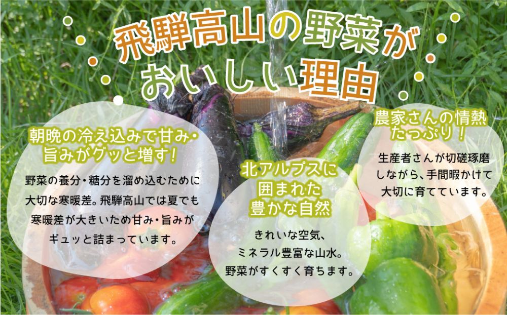 先行予約 定期便 3ヶ月 飛騨の野菜 6〜7点 野菜セット 3回 お届け 飛騨高山産 野菜  秋野菜 おまかせ お取り寄せ  産地直送 飛騨産 夏 秋 ふるさと納税定期便    GN100