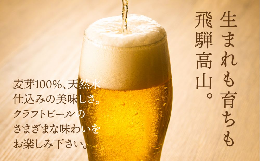 飛騨高山麦酒 セット 500ml 瓶 6本詰め合わせ ビール お酒 クラフトビール 地ビール 飛騨高山 プレミアム 家飲み おうち時間 ピルスナー ヴァイツェン ダークエール 父の日 酒 セット 贈答用 詰め合わせ b685