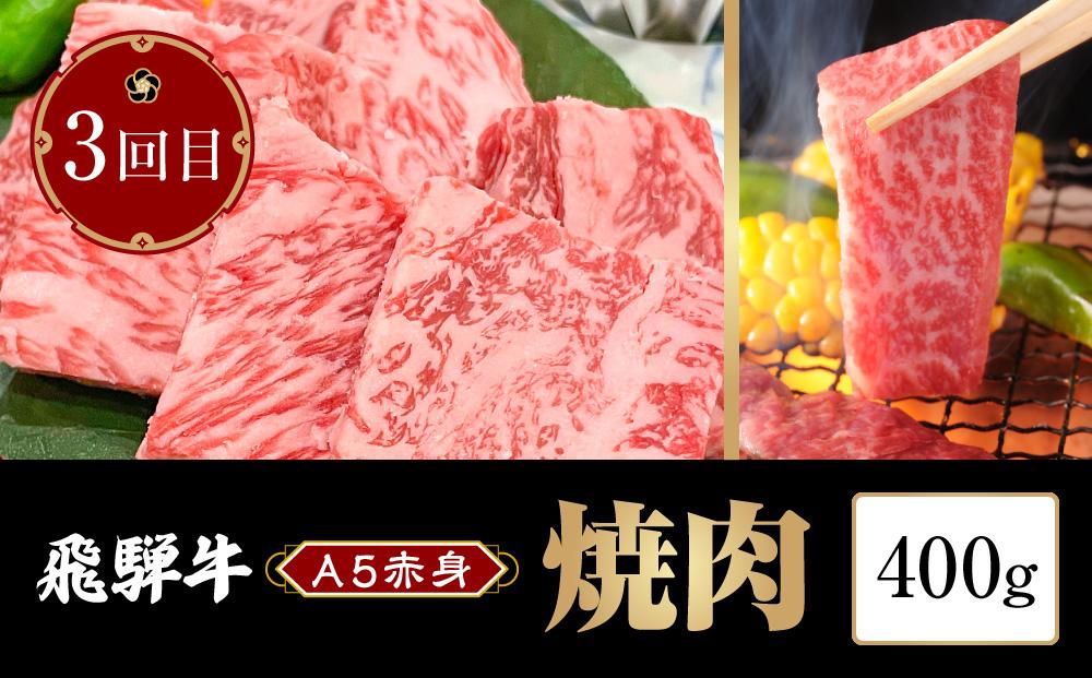 飛騨牛 A5 赤身 定期便 全3回 1.2kg（すき焼き しゃぶしゃぶ 焼肉） HF101　