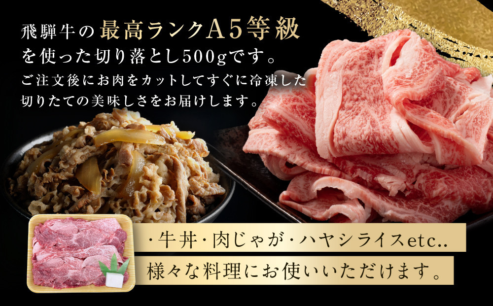 【6月発送】飛騨牛 A5等級 切り落とし 500g | 小間切れ A5ランク A5 5等級 肉 黒毛和牛 ブランド牛 発送時期が選べる 飛騨高山 ながせ食品 FH025VC06