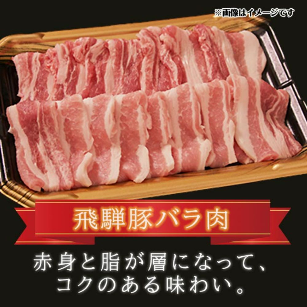 飛騨牛 ＆ 飛騨豚 焼肉 セット 合計 1kg  肉 国産 牛 豚 29-950 ファミリーストアさとう b579