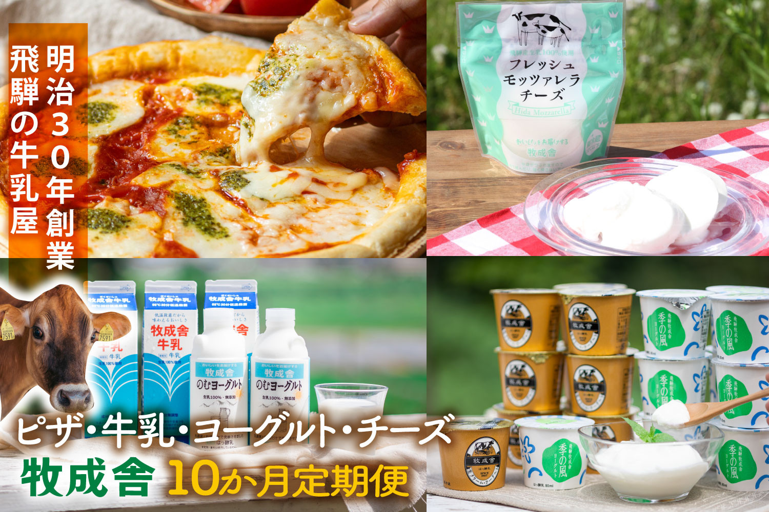【全10回定期便】毎月お楽しみ10か月企画（ピザ・牛乳・チーズ・ヨーグルト）｜乳製品 詰合せ デザート 惣菜 乳飲料 牧成舎 DF234