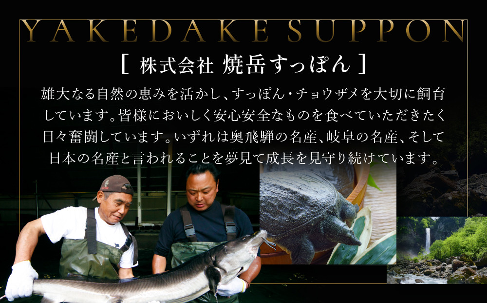 チョウザメ燻製｜焼岳すっぽん プレミアム 贅沢 お取り寄せ ギフト 贈り物 おつまみ  ホームパーティー 高山市 株式会社焼岳すっぽん HE003