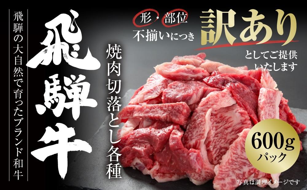 訳あり 飛騨牛 焼肉 切り落とし 600g 冷凍真空パック | 肉 お肉 切落し 不揃い 焼肉 焼き肉 やきにく 黒毛和牛 和牛 人気 おすすめ 牛肉 ギフト お取り寄せ【飛騨高山ミート MZ013】