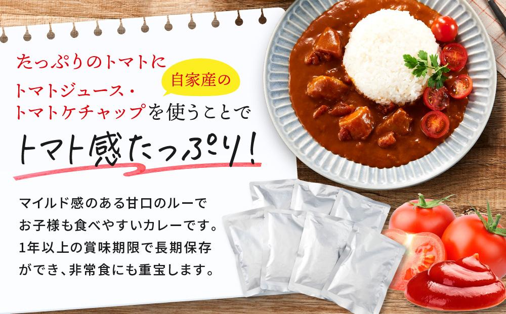 訳あり とまとたっぷりカレー（160ｇ×30袋）| 野菜の旨味 簡易包装 トマト カレー 人気 野菜たっぷり 子供 おいしい ふるさと清見21 DC023