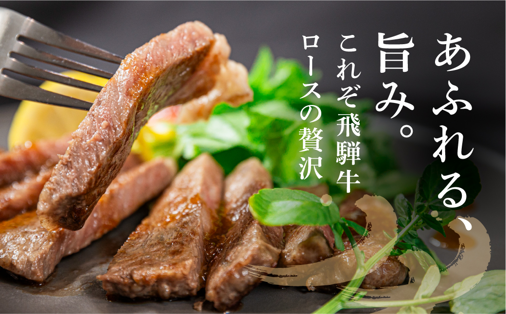 飛騨牛 ロース ステーキ 200g×2枚 2人前 ロースステーキ  霜降り 牛肉 黒毛和牛 和牛 国産牛 サーロインステーキ 高級肉 飛騨高山 山武商店  LZ017
