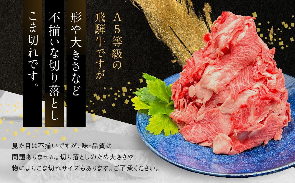 【期間限定】訳あり A5等級 飛騨牛 切り落とし 大容量 1kg | 肉 お肉 不揃い 牛肉 和牛 国産 冷凍 すき焼き 焼肉 切り落とし お取り寄せ グルメ 人気 おすすめ 株式会社岩ト屋 HF001