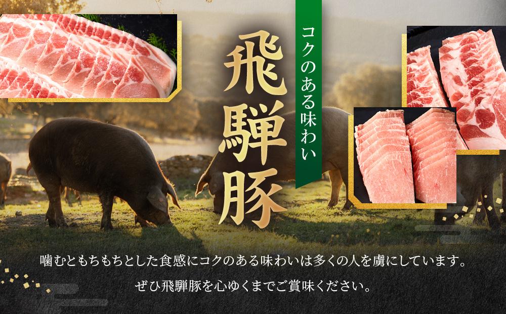 飛騨豚 焼肉・しゃぶしゃぶセット 合計1kg ｜ ロース BBQ 鍋 豚肉料理 高山米穀協業組合 FA010