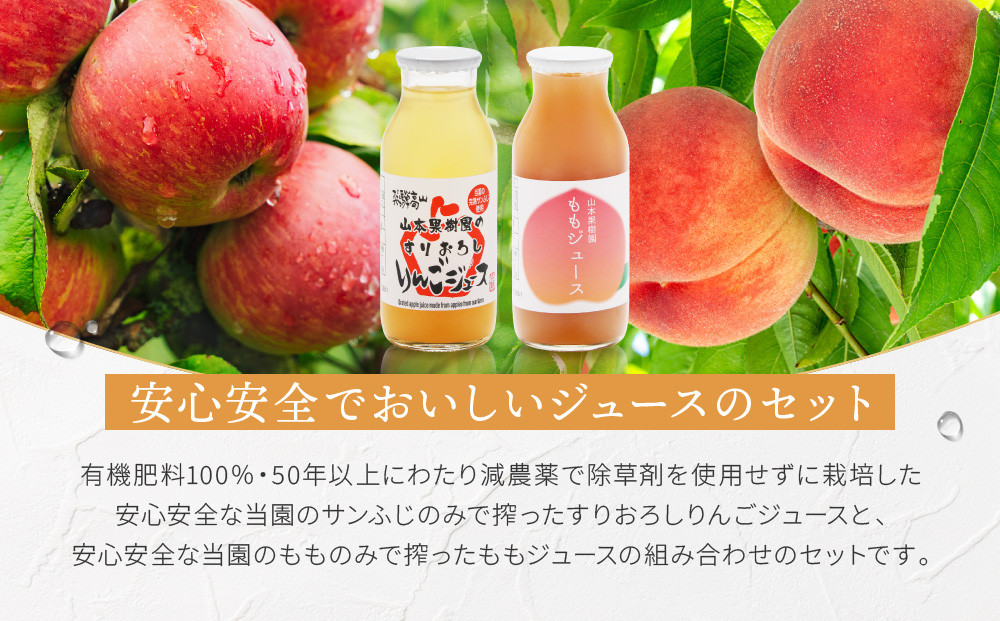 ããããããããïŒãããžã¥ãŒã¹ 12æ¬ã»ããã|ãããããææ± ãªã³ãŽ ææª æ¡ ãã ææ±100ïŒ
ææš¹å é£éššé«å±±ãå±±æ¬ææš¹å MA018