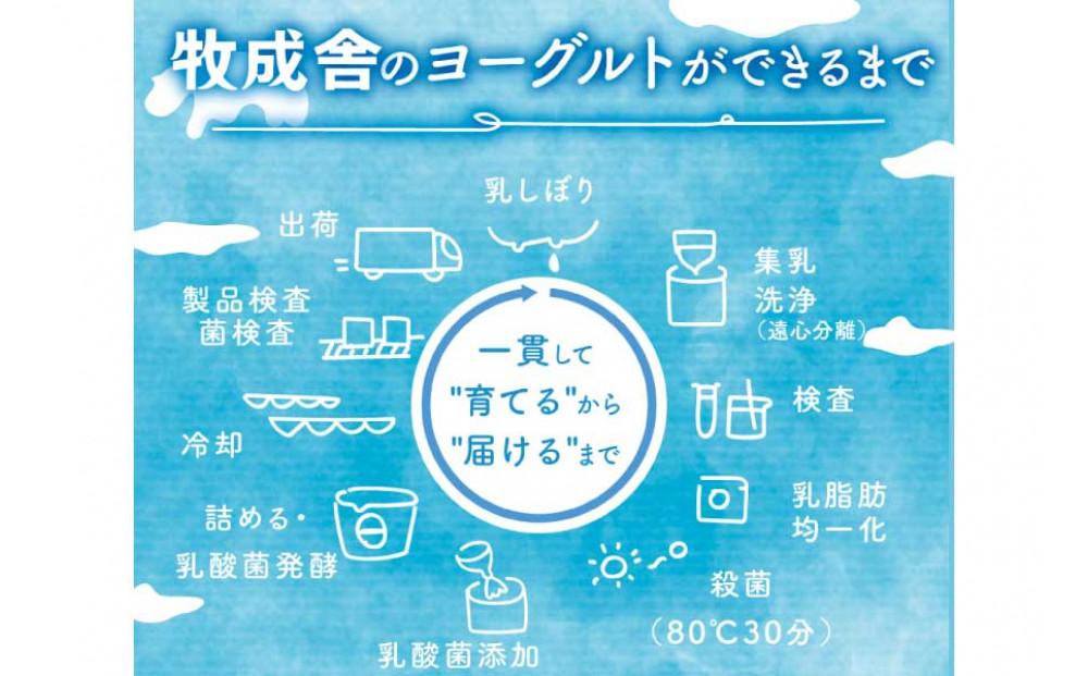 ＜牧成舎＞飛騨の牛乳屋さんが作った こだわりの カップヨーグルト12個（砂糖不使用タイプ）| ヨーグルト 無糖 砂糖不使用 無添加 健康 おいしい さっぱり 飛騨高山 (有)牧成舎 DF038