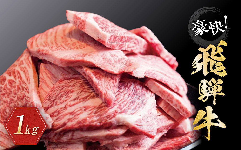 【2026年4月～7月発送】飛騨牛 訳あり焼肉1kg 切りおとし | 牛肉 訳あり 部位 大きさ 不揃い 日付指定不可 冷凍 焼き肉 BBQ バーベキュー 切落し 和牛 牛肉 飛騨高山 株式会社丸明 LR008FAJ04-07