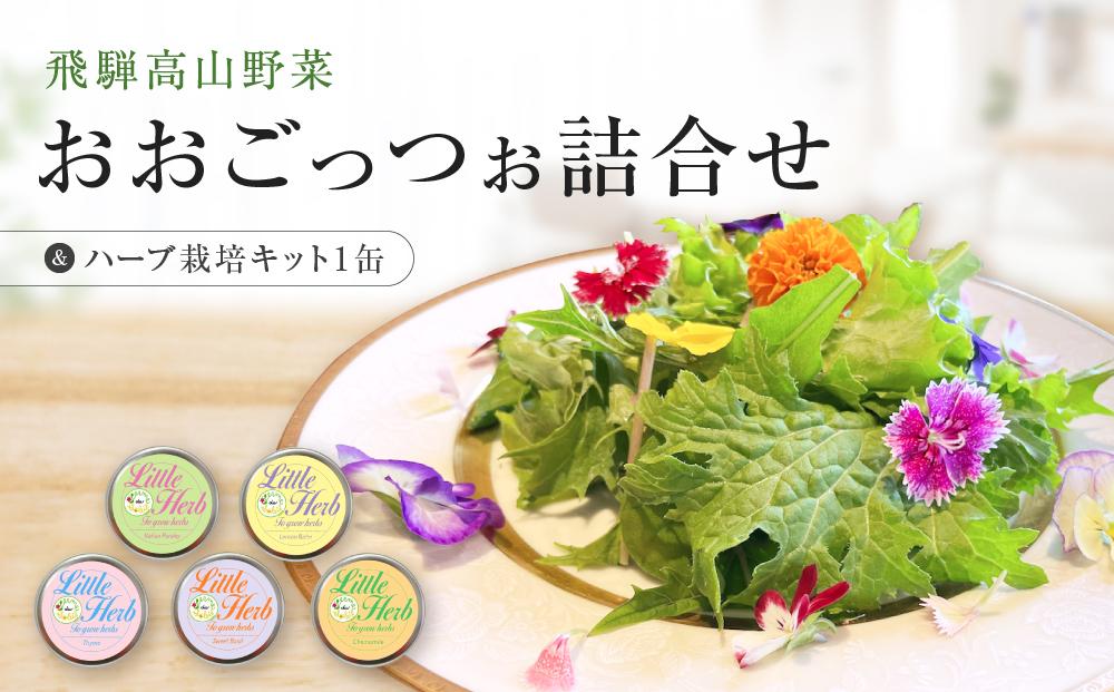 飛騨高山野菜『おおごっつぉ』詰合せ ＆ 缶で育てるハーブ栽培キット（ミニサイズ）| 野菜 グリーンリーフ エディブルフラワー 家庭菜園 リーフ 葉野菜 ハーブ 飛騨高山 株式会社FDS HS002