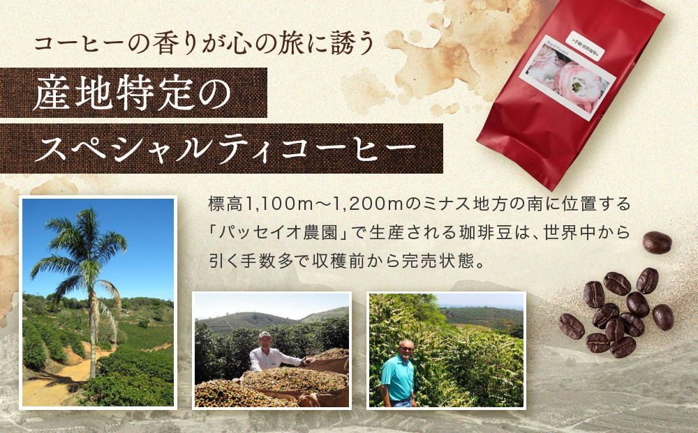 ãæç¶²çç
ãä¹
ã
éãµãããšã®éŠã ãã©ãžã« ããã»ã€ãªèŸ²å 100ïœ | çç
çç² ã³ãŒã㌠ããã»ã€ãªèŸ²å ãã©ãžã« ããã³ã°.coffee æ 埳å±ãLC011