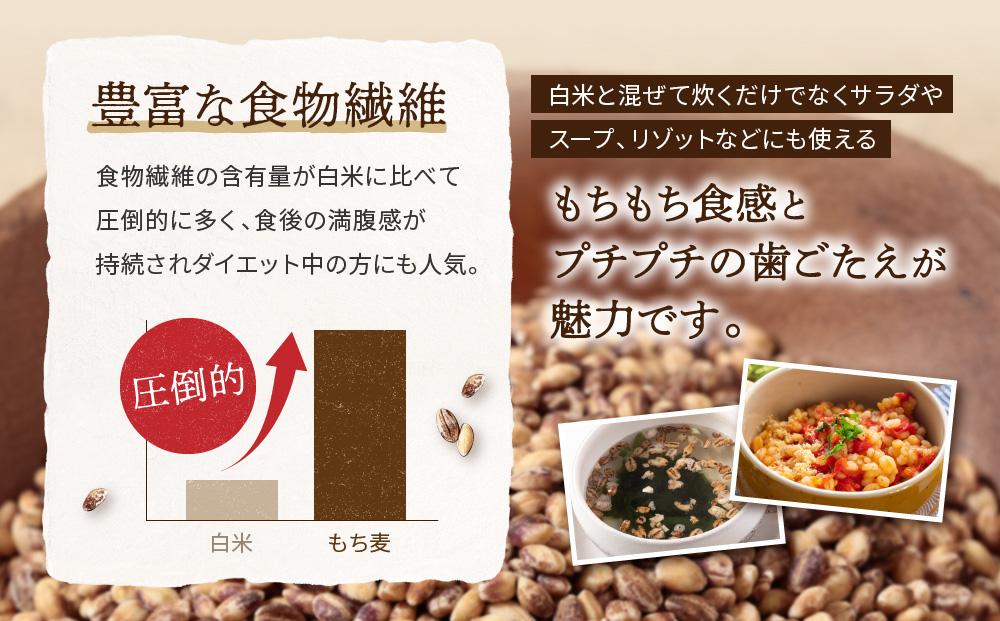 飛騨高山で有機栽培した「もち麦」2種食べ比べ（500g×2種＝合計1kg）| もち麦 雑穀 米 有機栽培 オーガニック 健康 おいしい 飛騨高山 有限会社山藏農園 JC017