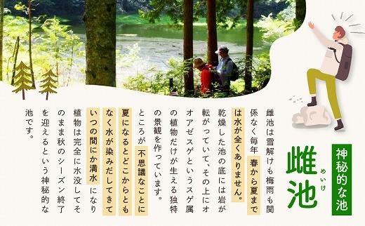 2023・24年度シーズン 乗鞍山麓 秘境「五色ヶ原」トレッキングショートコース「雌池布引滝コース（所要2時間）」2名分  MK005