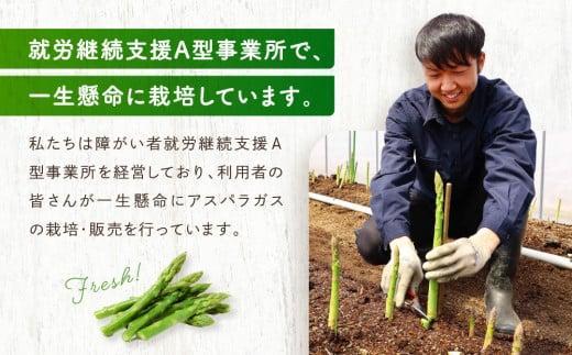 【2025年発送 先行受付】ひだっこ アスパラガス グリーンアスパラガス 3.0kg アスパラ 飛騨 旬 野菜 CM005VC01