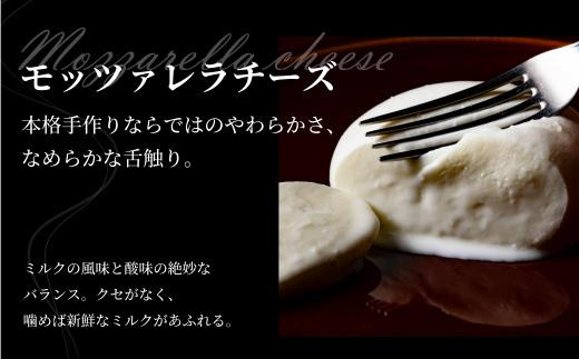 飛騨生乳100％ モッツァレラ1個 & リコッタ3個セット | セット チーズ 冷蔵 濃厚 低温殺菌 乳製品 おいしい 人気 チーズ工房トリデンテ LF012