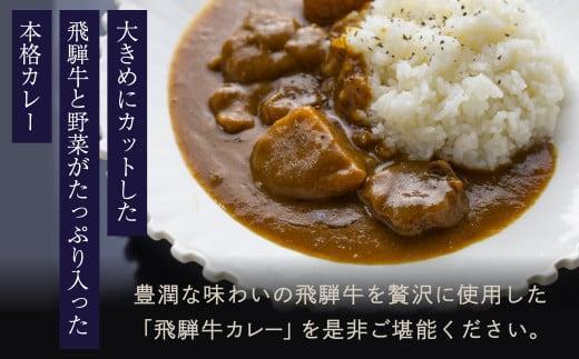 【定期便3ヶ月】本格飛騨牛レトルトカレー 230g×5個 | 飛騨牛 レトルトカレー 贅沢 カレー 本格 中辛 ビーフカレー 便利 簡単調理 高山市 株式会社フローラ EY100