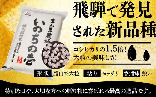 【令和5年度産】 お米 いのちの壱 5kg 白米 特別栽培米 金賞受賞農家 品種別金賞 日本一 ４度受賞 飛騨 まんま農場 LT003