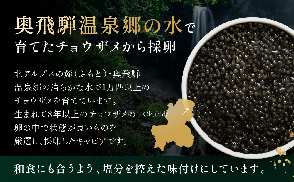 奥é£éššãã£ãã¢15gïœå¥¥é£éšš èŽççš éåµ æ¥æ¬ç£ ã°ã«ã¡ é«å±±åž çŒå²³ãã£ãœã HE001