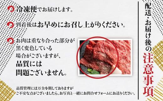 飛騨牛 訳あり 切り落とし600g  (日付指定不可) | 牛肉 肉 訳あり 切落し すき焼き高山市 不揃い 黒毛和牛 冷凍 人気 国 産 薄切り 部位 お取り寄せ グルメ 高評価 レビュー  (株)丸明 LR004FAJ