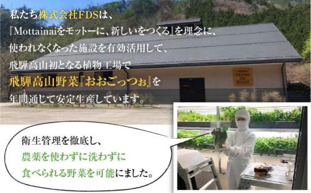 【定期便6回】飛騨高山野菜『おおごっつぉ』詰合せ 葉物野菜 葉物 ミックスリーフ わさびな フラワーサラダ 無農薬野菜 無農薬 HS100