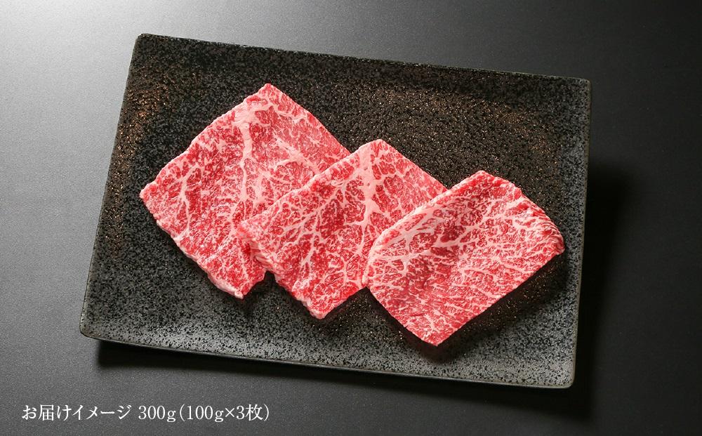 飛騨牛 赤身ステーキ 300g（100g×3） 冷凍真空パック | 肉 お肉 ステーキ モモ肉 黒毛和牛 和牛 人気 おすすめ 牛肉 ギフト お取り寄せ【飛騨高山ミート MZ025】