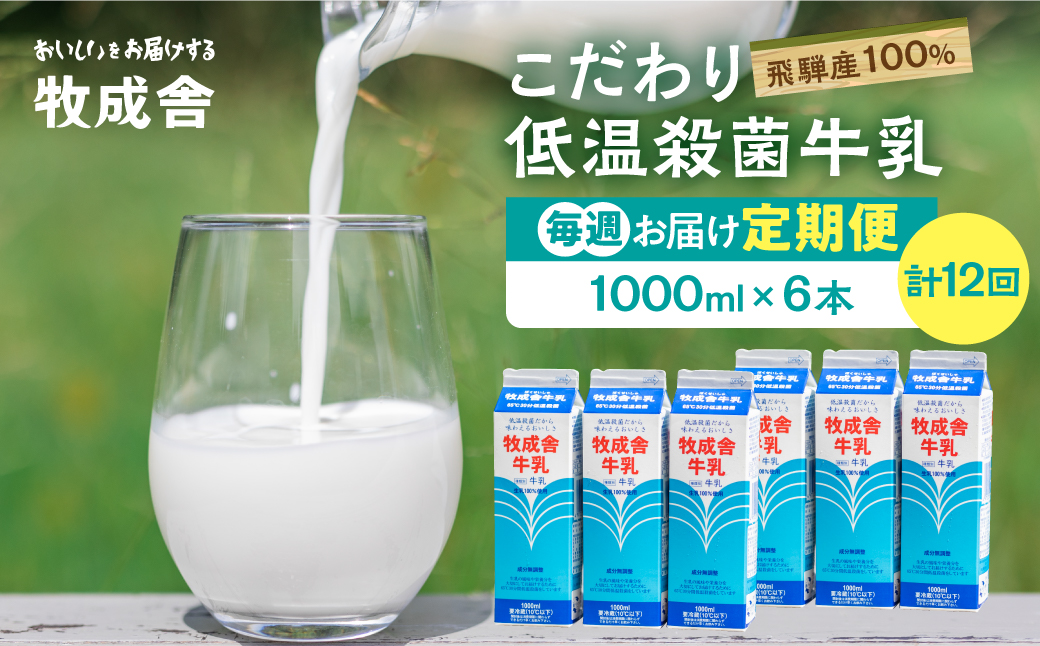 【毎週定期便 牛乳 6本×12回】 毎週 回数選べる 3ヶ月 飛騨産生乳100％ 牧成舎 美味しい低温殺菌牛乳 乳製品 飛騨 お楽しみ