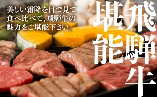 【4月発送】飛騨牛 焼肉 6種食べ比べ セット 600g(100g×6） 希少部位 A5 5等級 盛り合わせ 黒毛和牛 和牛 個包装 飛騨高山 ながせ食品 FH017VC04