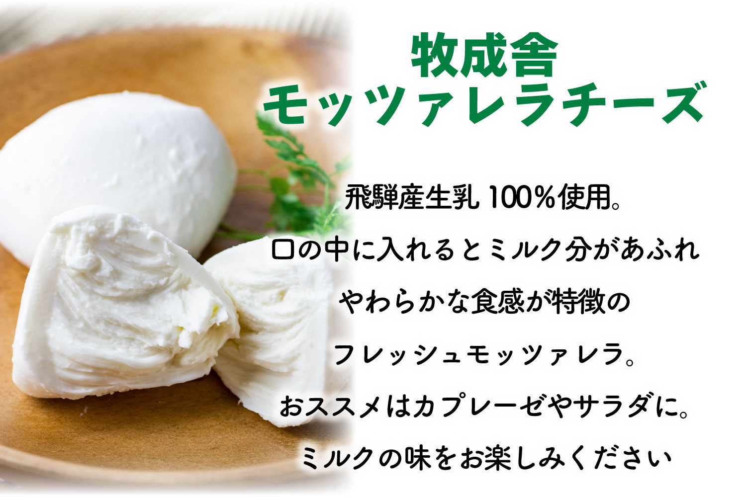 ãå
š12åãå±ããç§æèã®ä¹³è£œåå®æäŸ¿ïœãã¶ã»ãšãŒã°ã«ãã»ããŒãºã»çä¹³ãæ¯ææ¥œããïœä¹³è£œå è©°åã ãã¶ãŒã æ£è 乳飲æ ç§æè DF235