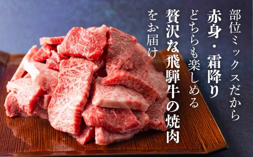 飛騨牛 焼肉 切落し 600ｇ ≪冷凍≫ 日付指定不可 焼肉用 切り落とし